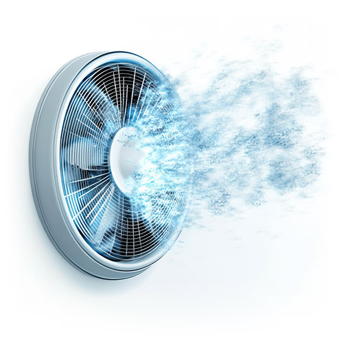 Service Blast Freezer